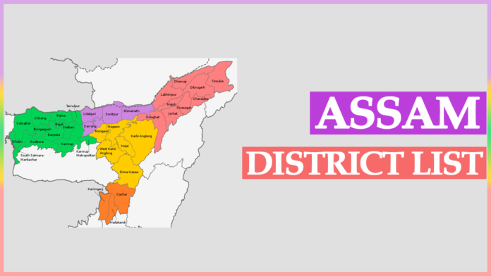 Districts in Assam list