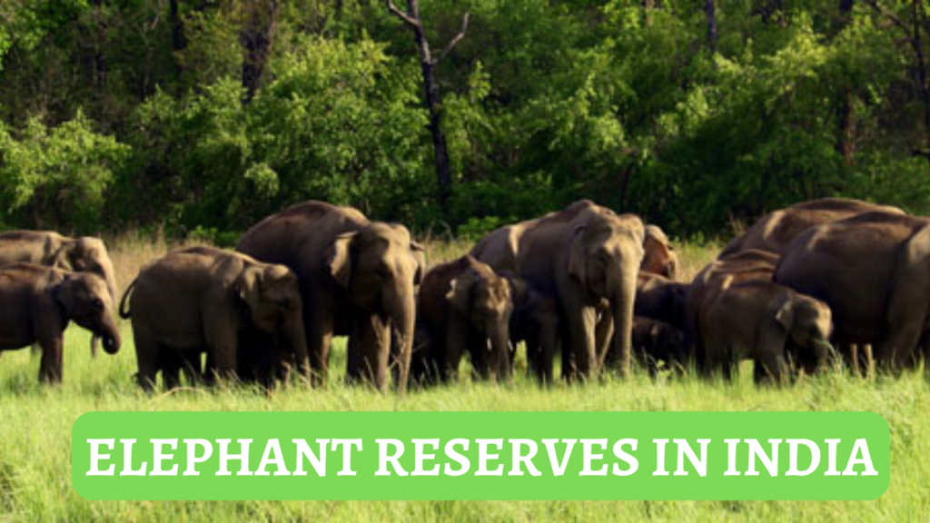 Elephant Reserves in India, State wise List, Importance, History