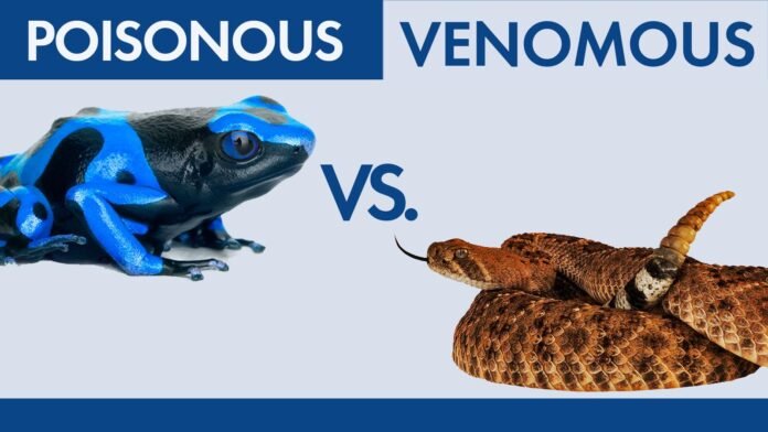 Difference Between Venom and Poison