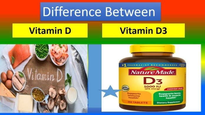 Difference Between Vitamin D and Vitamin D3