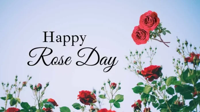 Happy Rose Day Captions for Instagram and FB 2024