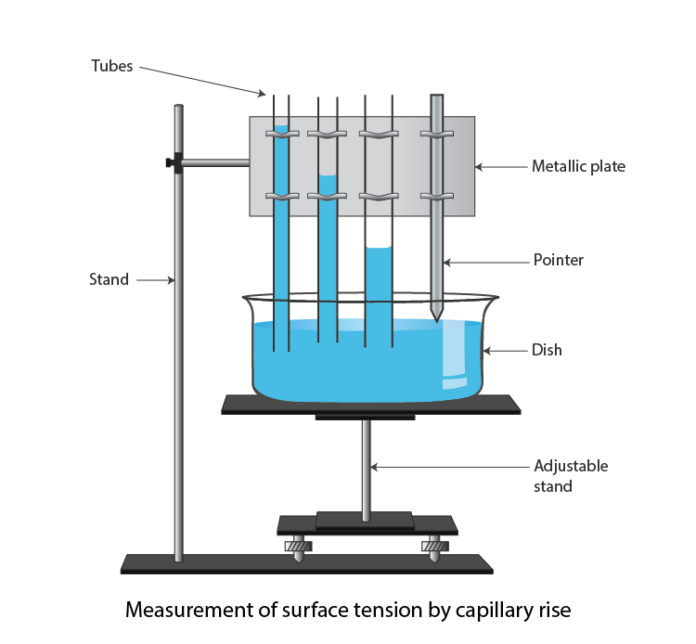 To Find The Surface Tension Of Water By Capillary Rise Method