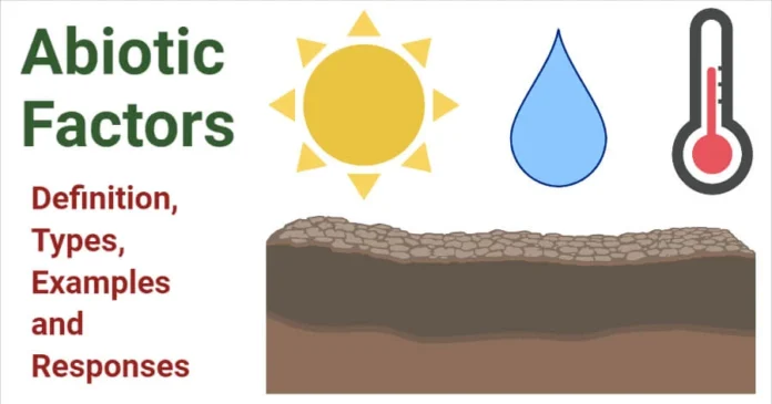 What is Abiotic Factors? Definition Examples, Types, Responses