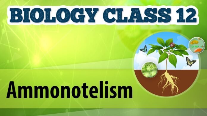 What is Ammonotelism? Types of nitrogenous wastes