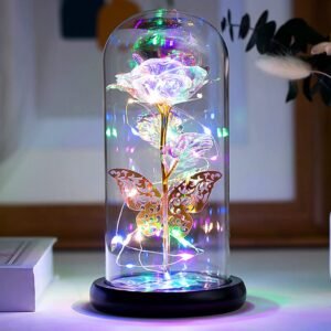 ORORANY Forever Rose Gift For Her, Galaxy Glass Rose Flower And Butterfly With Led Light
