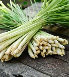 Stem Vegetables Name