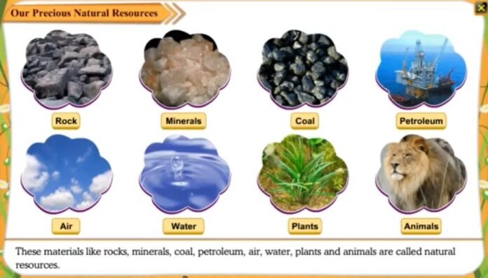 Natural Resources